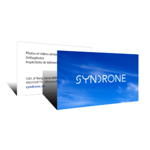 Carte d'affaires Syndrone